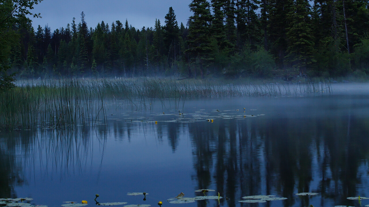 Evening Mist