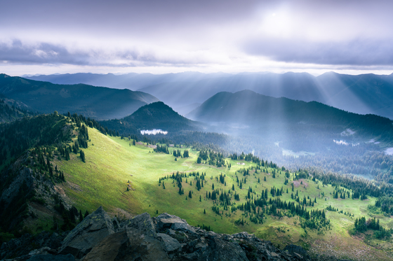 Mount Rainier National Park