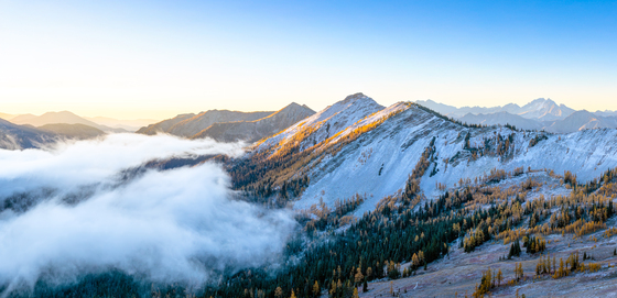 Okanogan-Wenatchee National Forest