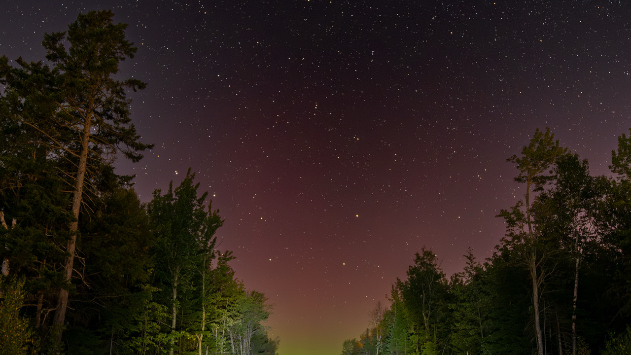 Road towards the lights