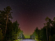 Road towards the lights