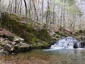 Ouachita National Forest
