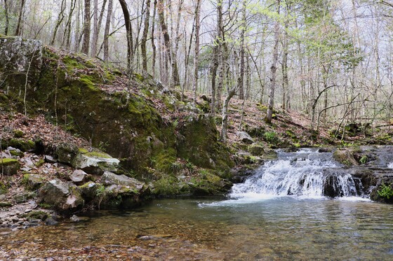 Ouachita National Forest