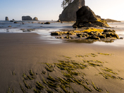 Olympic National Park