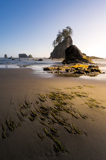 Olympic National Park