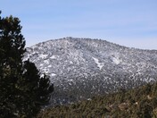 San Bernardino National Forest