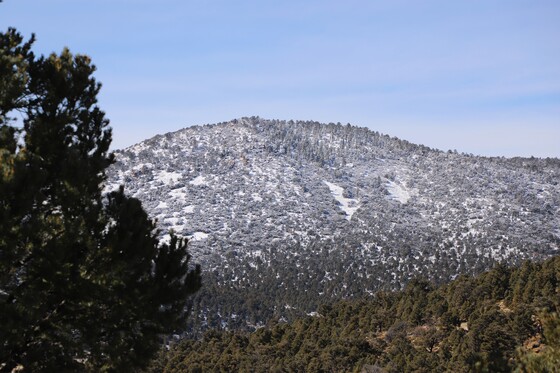 San Bernardino National Forest