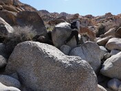 Joshua Tree National Park