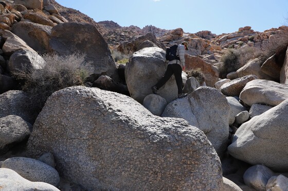 Joshua Tree National Park
