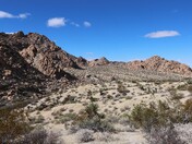 Joshua Tree National Park