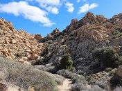 Joshua Tree National Park