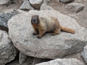 Rocky Mountain National Park 