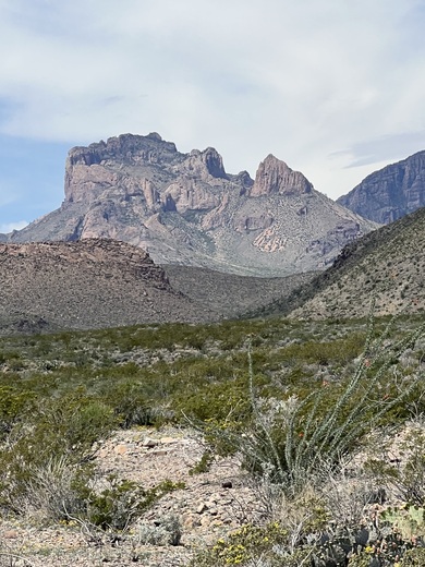 Big Bend National Park