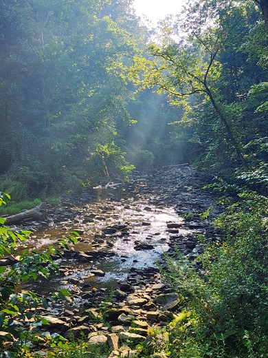 Cuyahoga Valley National Park 