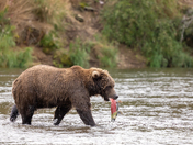 Katmai National Park & Preserve