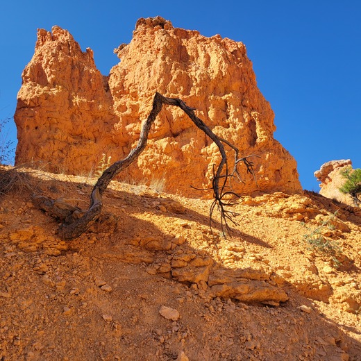 Bryce Canyon National Park