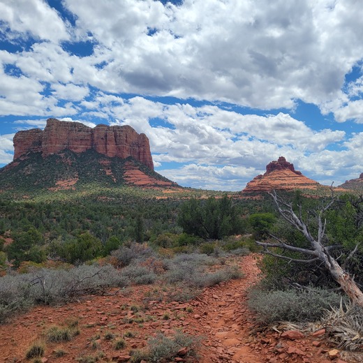 Coconino National Forest