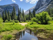 Yosemite National Park