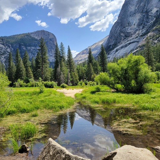Yosemite National Park