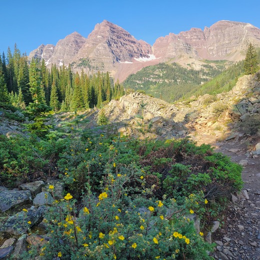 White River National Forest