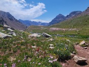 White River National Forest