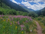 White River National Forest