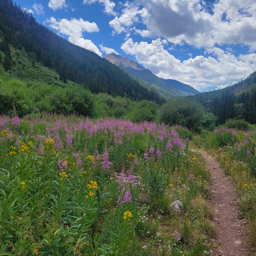 White River National Forest