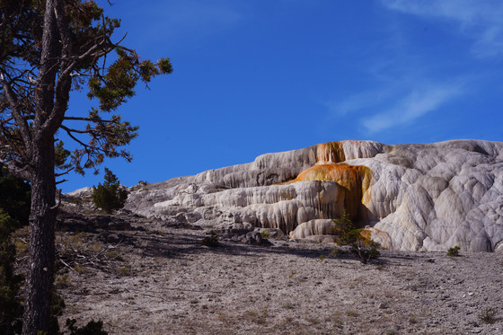 Yellowstone National Park