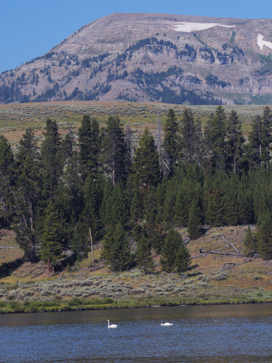 Yellowstone National Park
