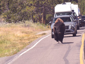 Yellowstone National Park