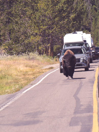 Yellowstone National Park