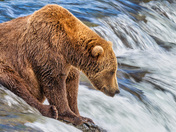 Katmai National Park and Preserve