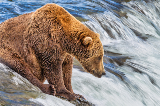 Katmai National Park and Preserve