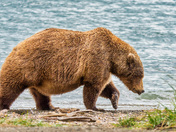 Katmai National Park and Preserve