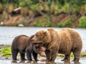 Katmai National Park and Preserve