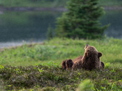 Lazy day at the lake
