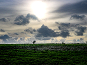 Point Reyes National Seashore