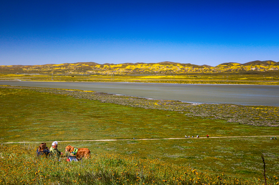 Carrizo Plain National Monument