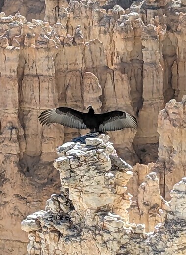 Bryce Canyon National Park