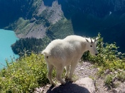 Glacier National Park 