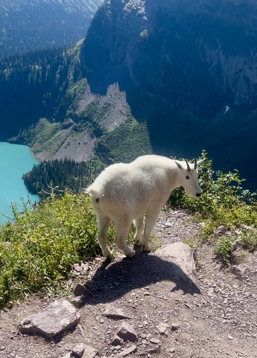 Glacier National Park 