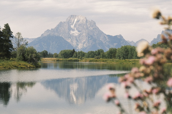 Grand Teton National Park