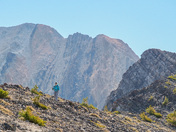 Salmon-Challis National Forest