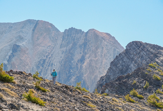 Salmon-Challis National Forest