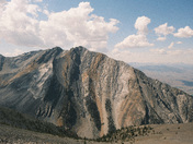 Challis National Forest