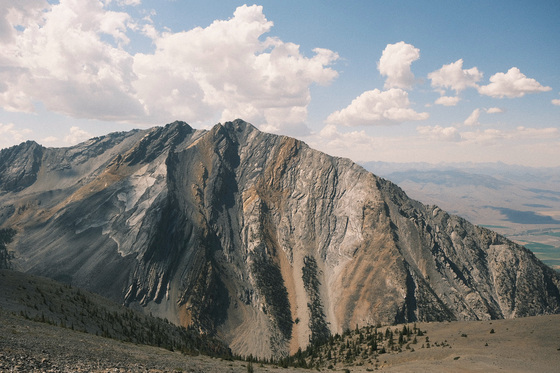 Challis National Forest