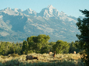 Grand Teton National Park