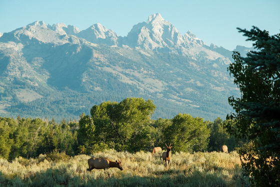Grand Teton National Park