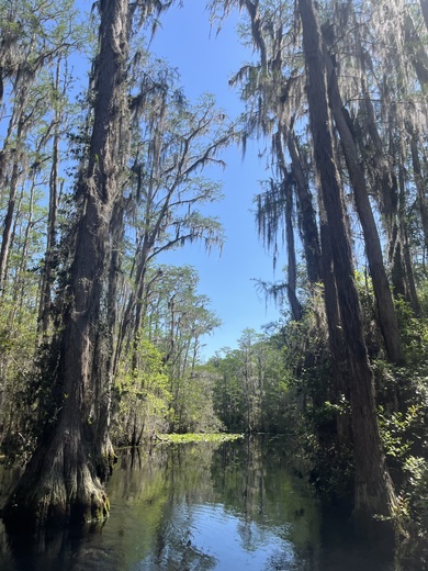 Okefenokee National Wildlife Refuge 