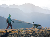 Okanogan-Wenatchee National Forest